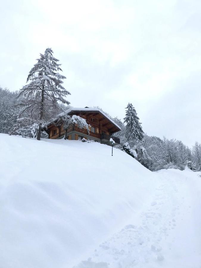 Apartamento La Marmotte Qui Papote Le Grand-Bornand Exterior foto