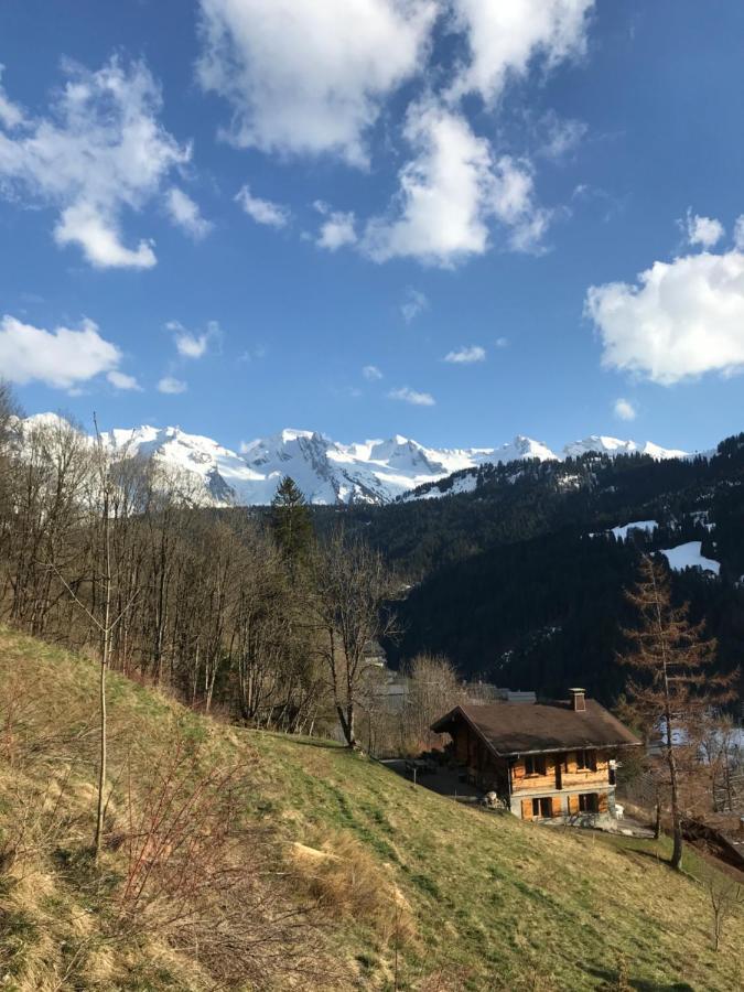 Apartamento La Marmotte Qui Papote Le Grand-Bornand Exterior foto